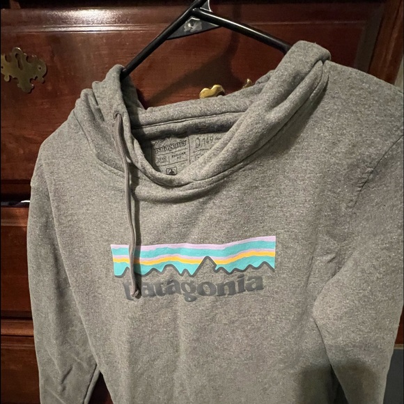 Patagonia hooded sweatshirt. - Picture 2 of 3